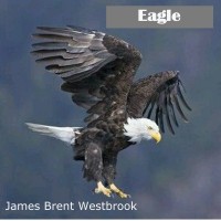 James Brent Westbrook Eagle (2017)